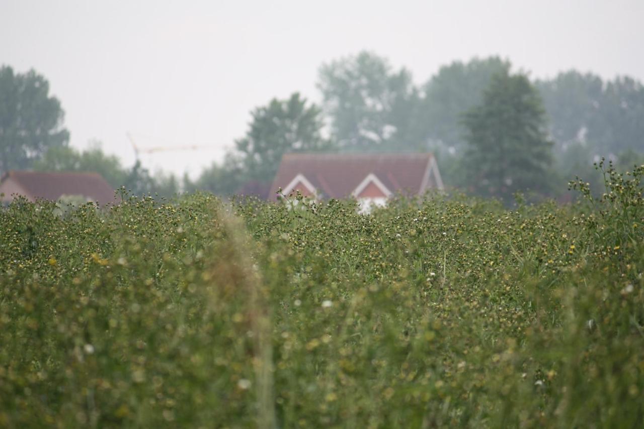Villa Haus Bootsmann Krummhörn Esterno foto
